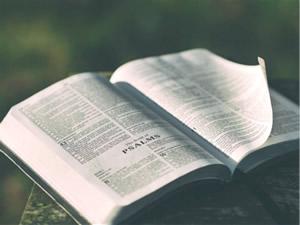 2019年中级经济基础_2019中级经济师 经济基础知识 考试24周学习计划表(2)