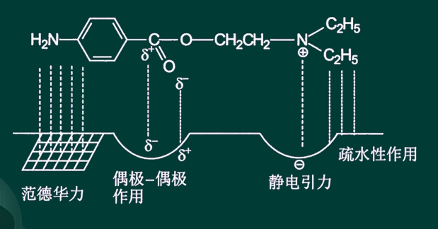 范德华键图片